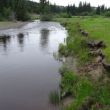 Greer_Creek_Photo_3.JPG