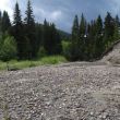 Greer_Creek_Photo_15.JPG