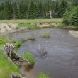 Greer_Creek_Photo_11.JPG