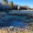 Goldie_Creek_Hamilton_Photo_3.JPG