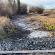 Goldie_Creek_Hamilton_Photo_4.JPG