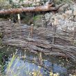 Goldie_Creek_Sayles_Photo_5.JPG