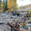Goldie_Creek_Sayles_Photo_2.JPG