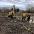 Knight_Creek_Thomson_Photo_6.JPG