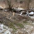 IMG_5110.JPG