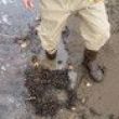 sand1-218.jpg