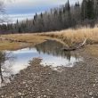 Knight Creek confluence with Nechako River - Nov. 2025