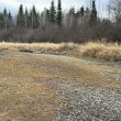 Knight Creek confluence with Nechako River - Nov. 2025