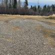 Knight Creek confluence with Nechako River - Nov. 2025