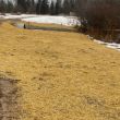 Ground protection during and after the replacement.