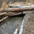 Off-channel watering for cattle. Cheap and effective way to keep cattle out of the main channel, but