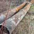The two old ineffective culverts that were removed.