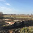 Improperly installed or left culverts cause damage.