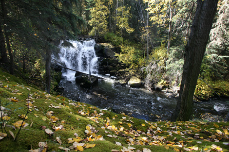 Stoney Creek  Nechako Environment and Water Stewardship Society